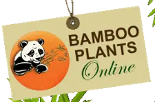 Bambooplantsonline Coupon Code