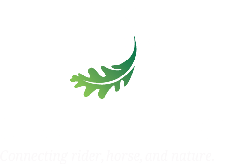 Oaklyn Tack Coupon Code